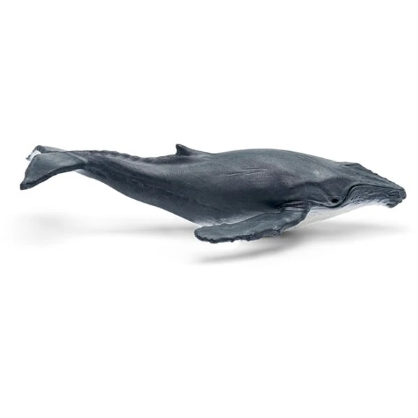 Tonies Was Ist Was - Wale & Delfine / Geheimnis Der Tiefsee, Spielfigur 2 Tonies Was Ist Was - Wale & Delfine / Geheimnis Der Tiefsee, Spielfigur – Bild 2